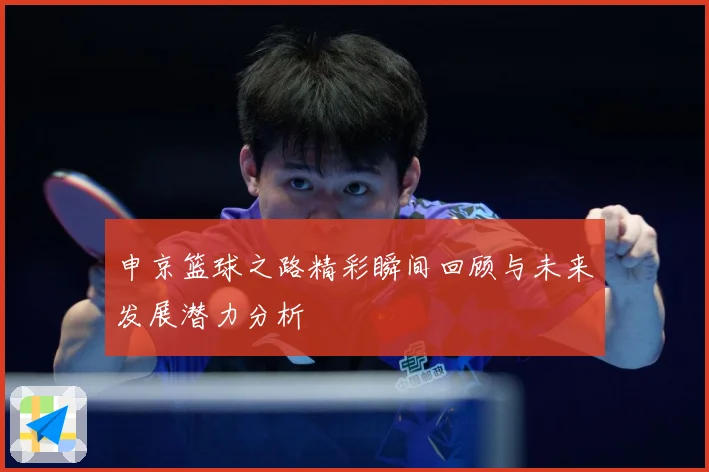 申京篮球之路精彩瞬间回顾与未来发展潜力分析